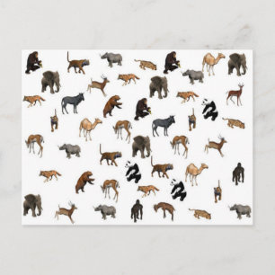 Postal Animales salvajes