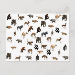 Postal Animales salvajes
