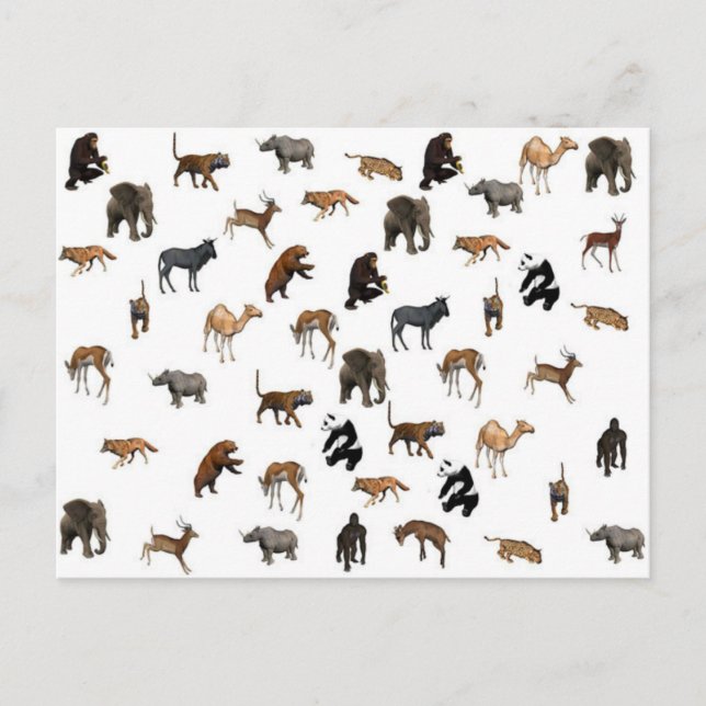 Postal Animales salvajes (Anverso)