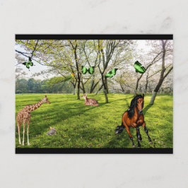 Postal Animales Salvajes 