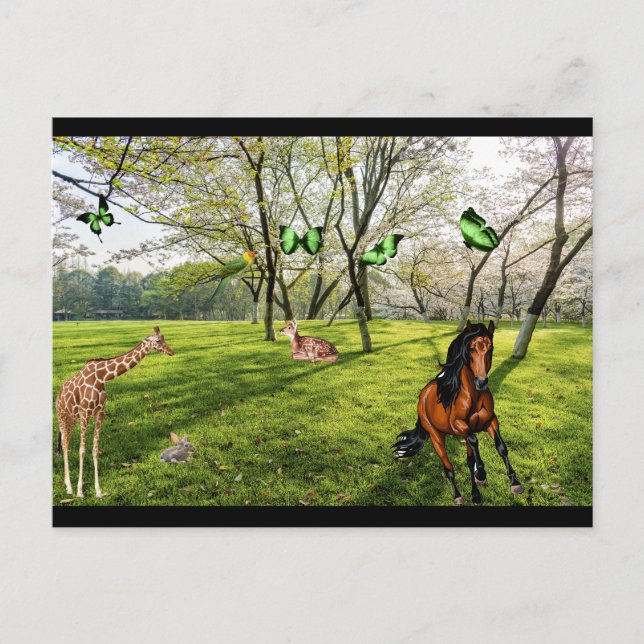 Postal Animales Salvajes  (Anverso)