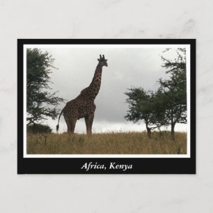 Postal Animales salvajes de África Kenia