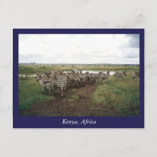 Postal Animales salvajes de África Kenia
