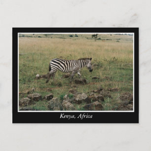 Postal Animales salvajes de África Kenia