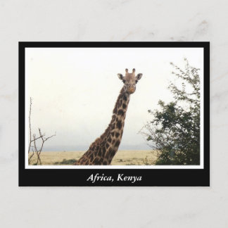Postal Animales salvajes de África Kenia