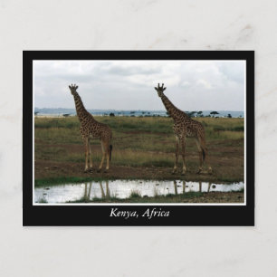 Postal Animales salvajes de África Kenia