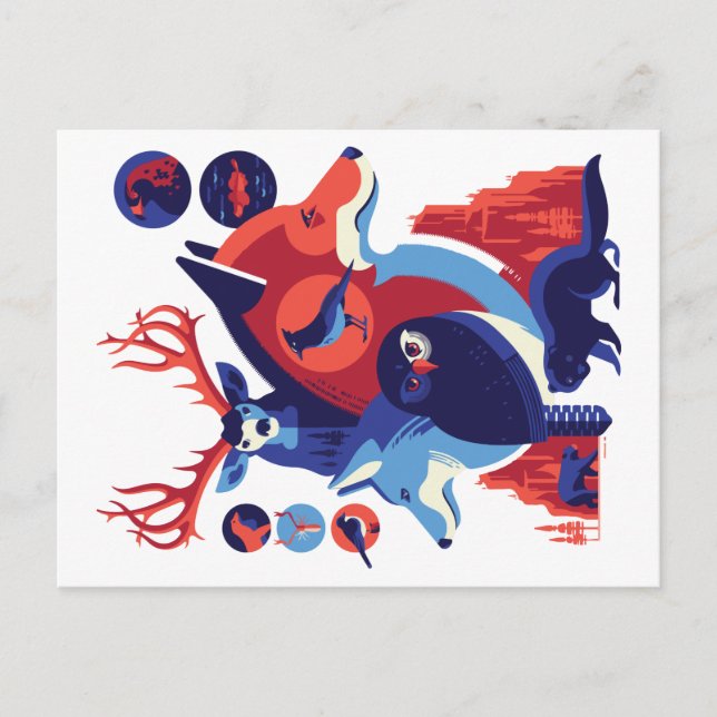 Postal Animales Salvajes V.06 (Anverso)
