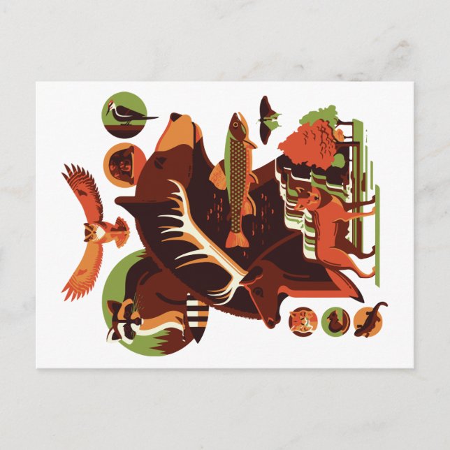 Postal Animales Salvajes V.07 (Anverso)