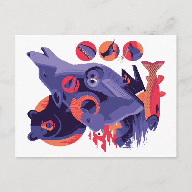 Postal Animales salvajes V.12 (Anverso)