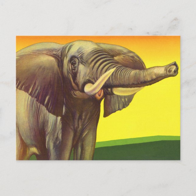 Postal Animales salvajes vintage, elefante africano con p (Anverso)