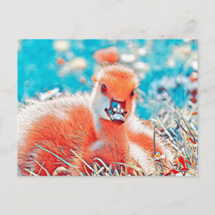 Postal AnimalMix_Bird_019