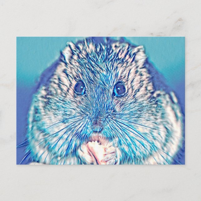 Postal AnimalMix_Hamster_003 (Anverso)