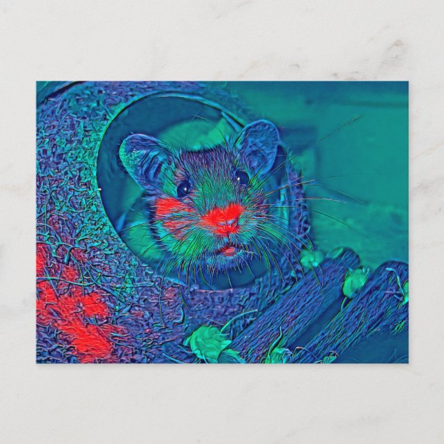 Postal AnimalMix_Hamster_005 (Anverso)