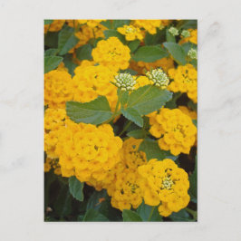 Postal Animar a un amigo especial a las flores amarillas