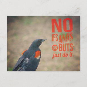 Postal Ánimo a los mirlos