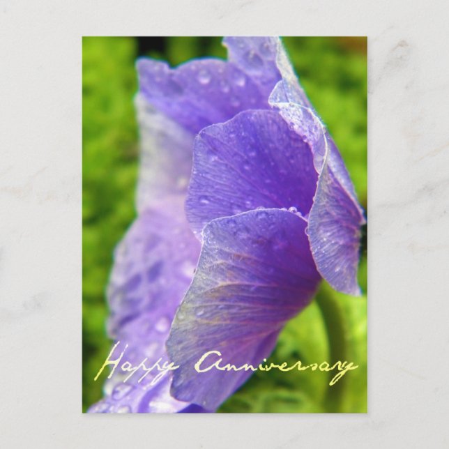 Postal Aniversario de la Flor Púrpura (Anverso)