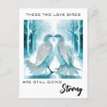 *~* Aniversario de la FOTO Resumen de Aves de Amor