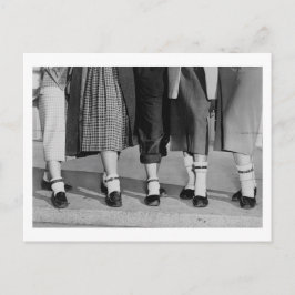 Postal Anklets del collar del perro