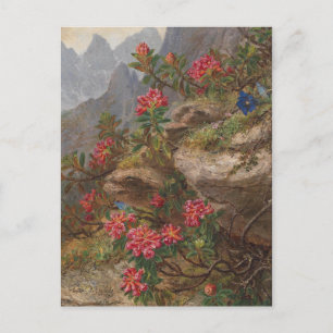 Postal Anna Stainer-Knittel Flores alpinas vintage