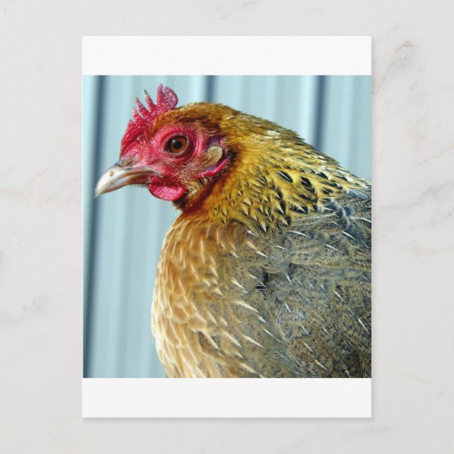 Postal Annie (Anverso)