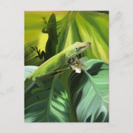 Postal Anole Lizard