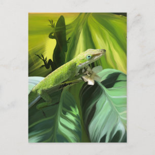 Postal Anole Lizard