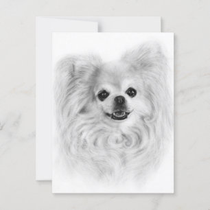 Postal Años de amor - arte de Chihuahua pintado a mano