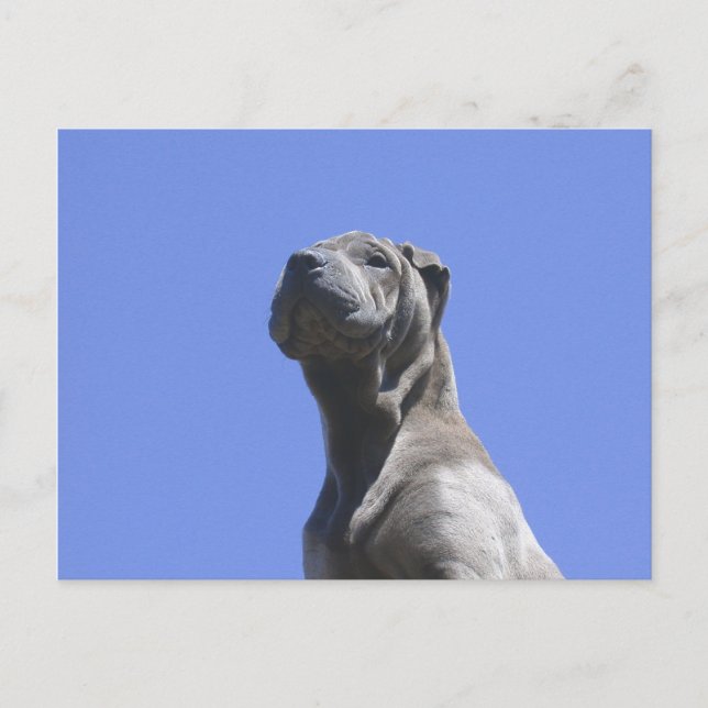 Postal Años de perro... (Anverso)