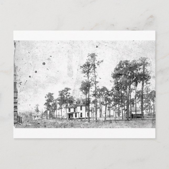 Postal Años tempranos, Mount Dora, FL (Anverso)