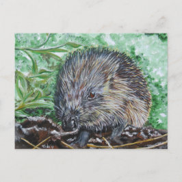 Postal Ansichtkaart Egel.