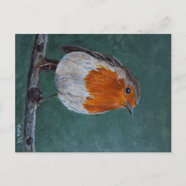 Postal Ansichtkaart Roodborst. Briefkaart (Anverso)