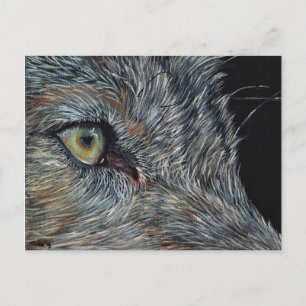 Postal Ansichtkaart Wolf