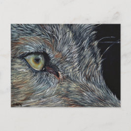 Postal Ansichtkaart Wolf