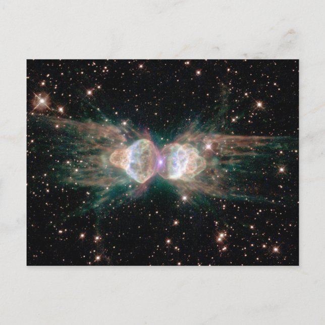 Postal Ant Nebula (Anverso)