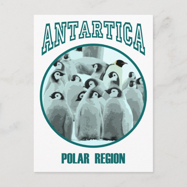 Postal Antártica (Anverso)
