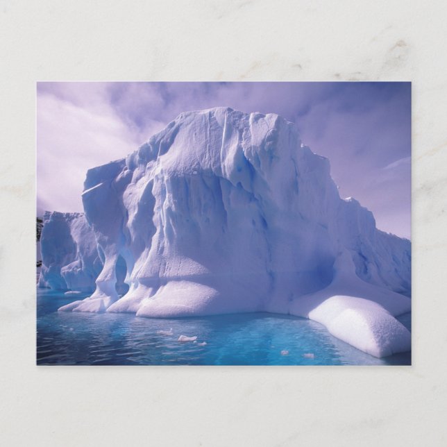 Postal Antártica. Iescapes antárticos (Anverso)