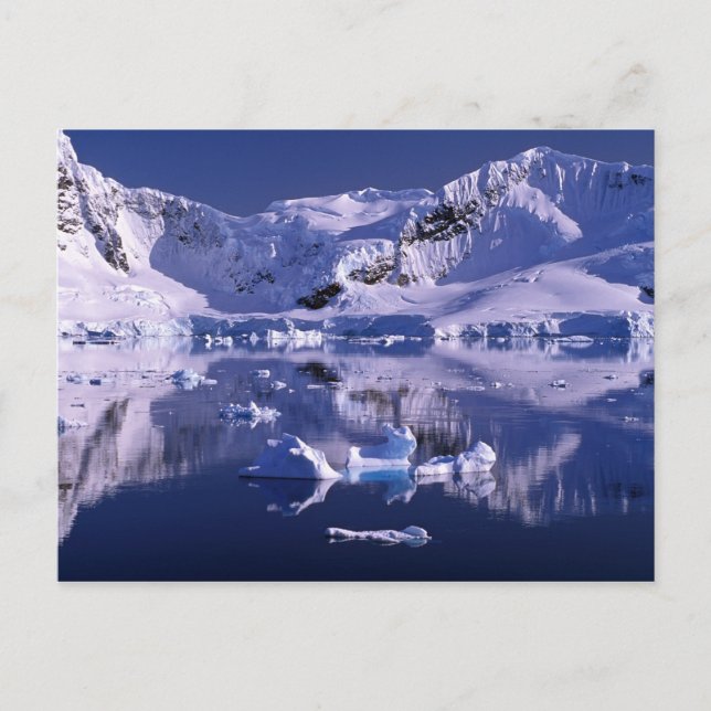 Postal Antártida, Bahía Paraíso (Anverso)