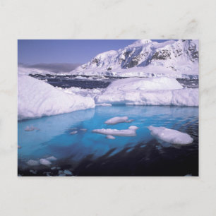 Postal Antártida. Expedición a través de paisajes de hiel