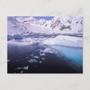 Postal Antártida. Expedición a través de paisajes de hiel