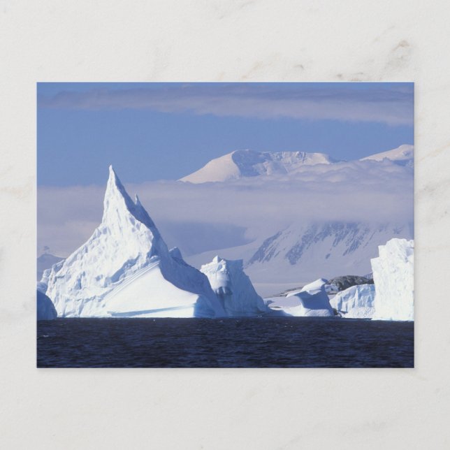 Postal Antártida, isla Boothe, sol de tarde (Anverso)