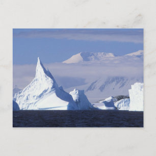 Postal Antártida, isla Boothe, sol de tarde
