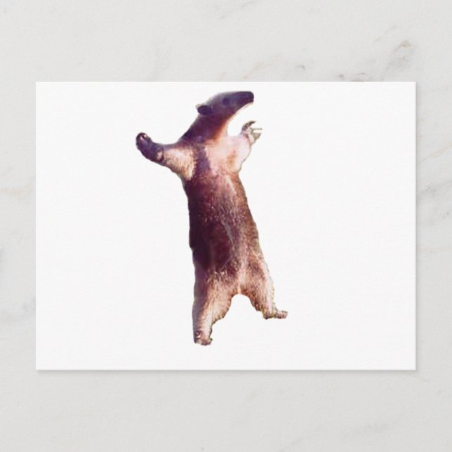 Postal Anteater (Anverso)
