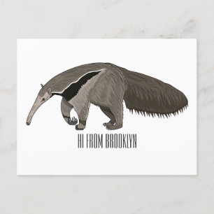 Postal Anteater personalizado ilustracion