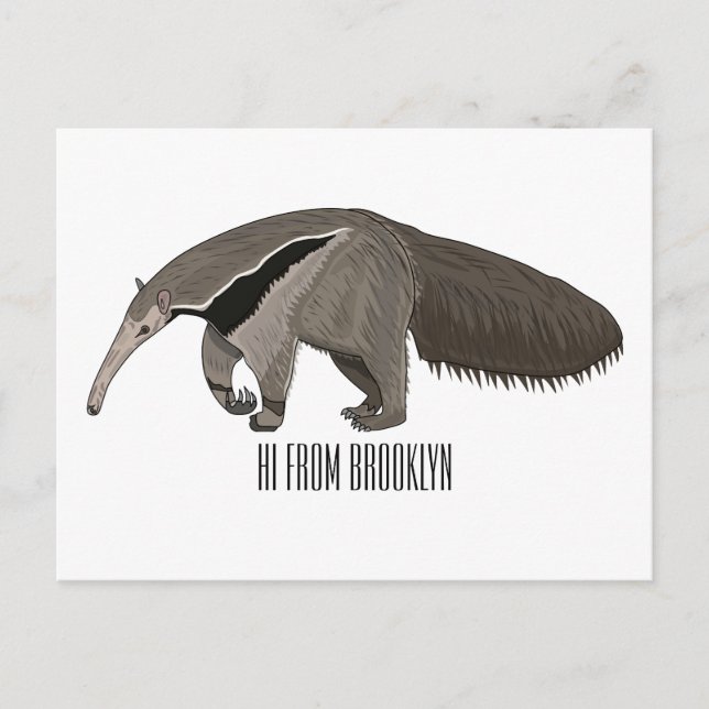 Postal Anteater personalizado ilustracion (Anverso)