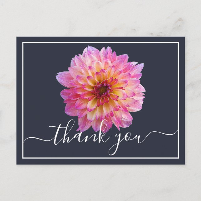 Postal Antecedentes de la marina de Dahlia rosa gracias (Anverso)
