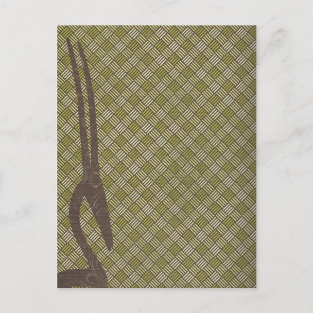 Postal Antelope de Safari Postcard (Anverso)