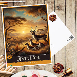 Postal Antelope   Postcarta de animales de cosecha de cos