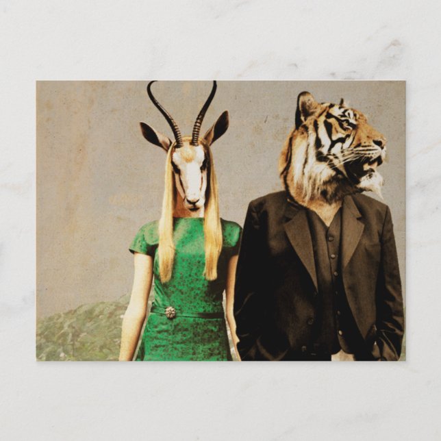 Postal Antelope y el tigre (Anverso)