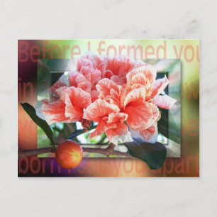 Postal Antes De Formarte