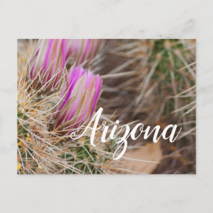 Postal Antes de la floración, Arizona
